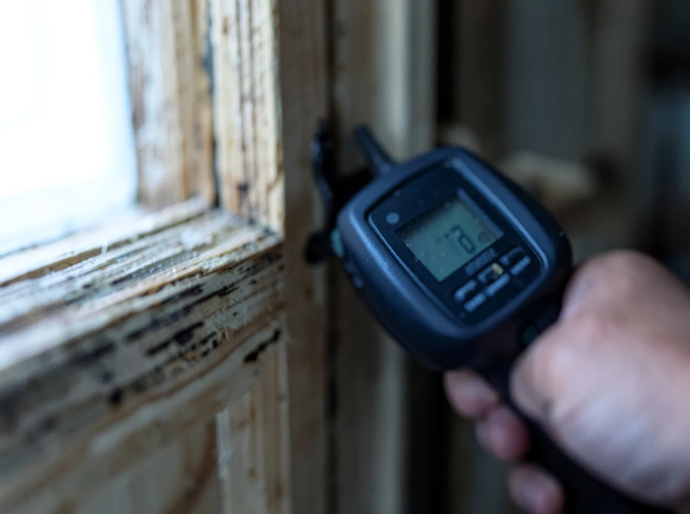 Ceiling Water Damage Repair in Palmer, TX